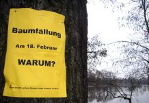 Fragen unerwünscht? alt