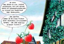 Sagt mir, wo die Bienen sind! (Teil 2) Copyright Marunde