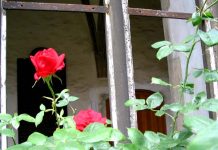 Christenkreuz und Hakenkreuz – Ausstellung alt