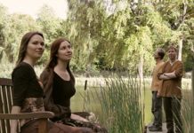 7 + 1 Fragen an: Paradogs