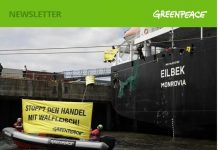 Greenpeace-Aktivisten protestieren gegen illegalen Handel mit Walfleisch II