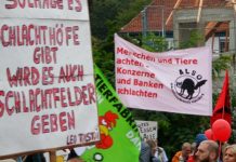 Kleine Bauern – große Bosse: Welche Landwirtschaft wollen wir?