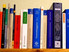 „Glücklich der Staat, der sonst keine Probleme hat,“ – Teil II