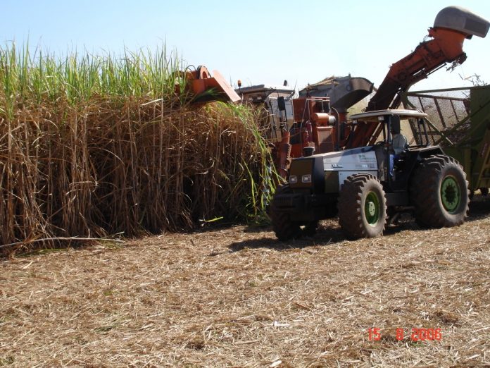 Colheita-mecnica2
