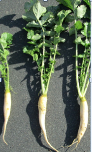 Bildschirmfoto-2014-08-18-um-22.01.07