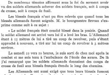 Ein Schreiberling, der sich Brunswyk nennt