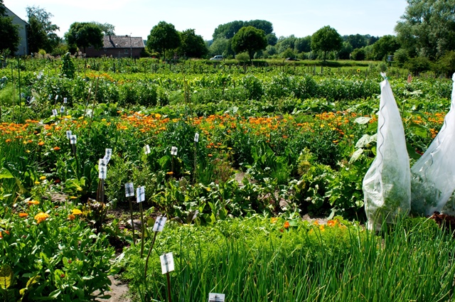 meineernte_23TammoGanders