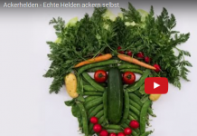 Das Ackerhelden Gartenbuch ist da. 160 Seiten geballtes Gemüsewissen