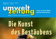 Die neue Umweltzeitung ist da! Die Kunst des Bestäubens