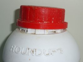 EU-Gericht: Glyphosat-Studien sind öffentlich zu machen