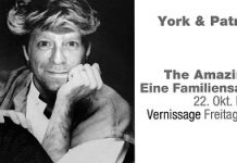 »The Amazing Schmitz – Eine Familiensaga in Bildern«
