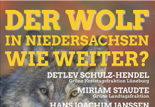 AbL fordert Grüne zu ernsthafterer Debatte über Wolfsproblematik auf