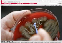 „Besiegen wir die Superkeime?“