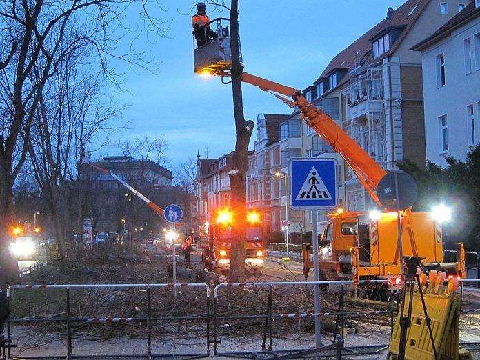 Hans-Georg_Dempewolf_IMG_0601