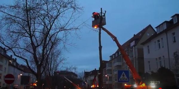 Screenshot_Baumfllung