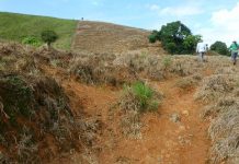 Der Grund allen Wohlstands