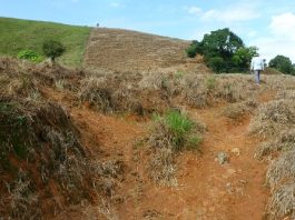 Der Grund allen Wohlstands