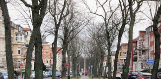 Einigung zwischen der Stadt Braunschweig und der Bürgerinitiative Baumschutz erreicht.