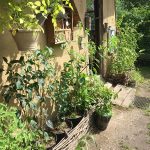 JUP-Lehmfachwerkhaus