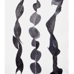 Museum f. photografie frauke dannert