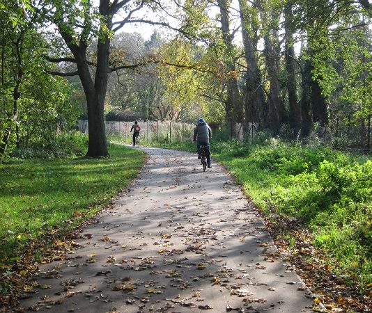 Ringgleis-Kalender 2020 erschienen