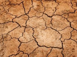 Klimaschutz und Landwirtschaft – da kann sich nichts bewegen