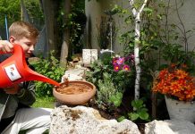 Ein Buffet für Insekten