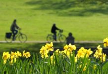 Der ADFC Braunschweig bietet wieder geführte Radtouren an
