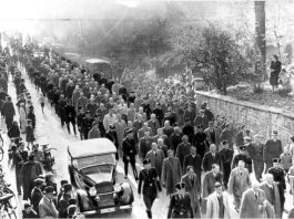 „Querdenker“ sagten gestern Demonstration auf Grund der vielen Proteste ab – Ein Erfolg!