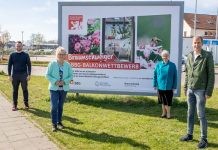 BBG-Balkonwettbewerb startet am 1. Mai