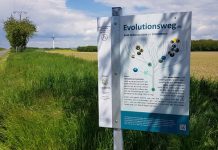 Eröffnung des Evolutionswegs