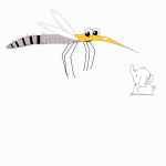 Mücke_elephant