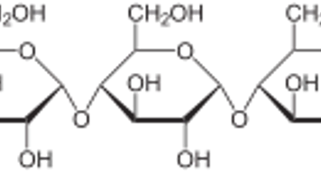 Kurz und Klar 25.September