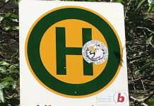 Die Museumsnacht im ALLGEMEINEN KONSUMVEREIN