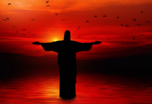 Auch Jesus war politisch