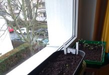 Mein Gartenjahr im Wohnzimmer – Nun geht`s los!