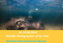 WILDLIFE PHOTOGRAPHER OF 2023 – die 100 weltbesten Natur-Fotografien
