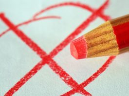 Wähler der AfD – Monster, Verhetzte oder was?