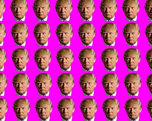 Warum wir nicht Trump fürchten sollten, sondern seine Netzwerke