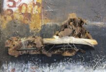 PETRA MÜLLER – AUSSTELLUNGS-FINISSAGE IM SÈPARÉE BÖCKLERSTRASSE – bs.kunst.de –