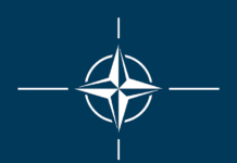 Washingtons Wurmfortsatz – eine schonungslose Analyse