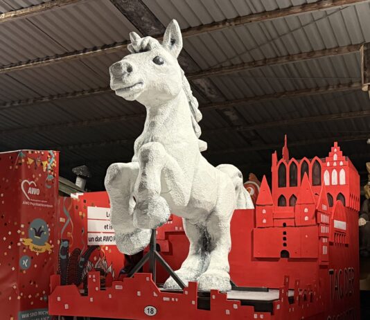 Kamelle vom Motivwagen zum Tag der Niedersachsen