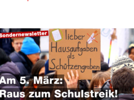 Wehrpflicht? Wehr dich! – Raus zum Schulstreik am 5. März