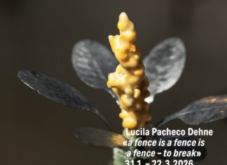 Lucila Pacheco Dehne