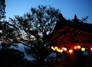 Hurra! OB Kornblum pflanzt einen Baum!