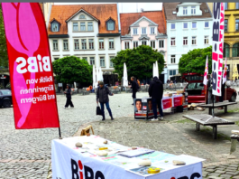 BIBS-Team zur Kommunalwahl steht.