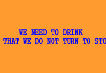 „WE NEED TO DRINK SO THAT WE DO NOT TURN TO STONE“ – die Künstlerin Sommar Lee mit ihrem neuen Film auf dem Prosanova26-Festival