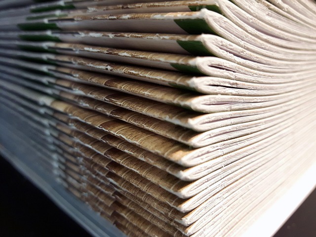 justynaandryszek-books-2572110_640