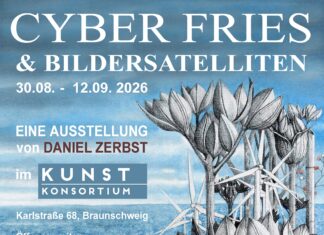 CYBER FRIES UND BILDERSATELLITEN – DANIEL ZERBST IM KUNST KONSORTIUM